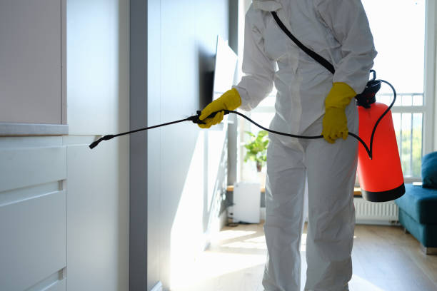 Best Airborne Mold Testing  in Pomona, NJ